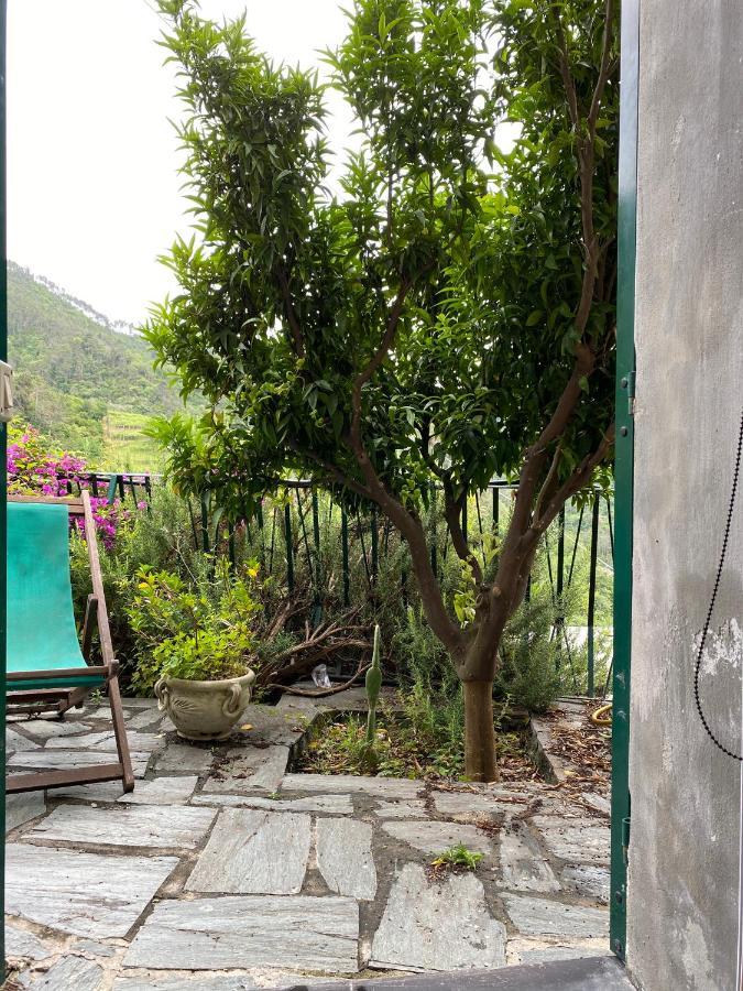 Cottage La Terrazza Levanto Bagian luar foto