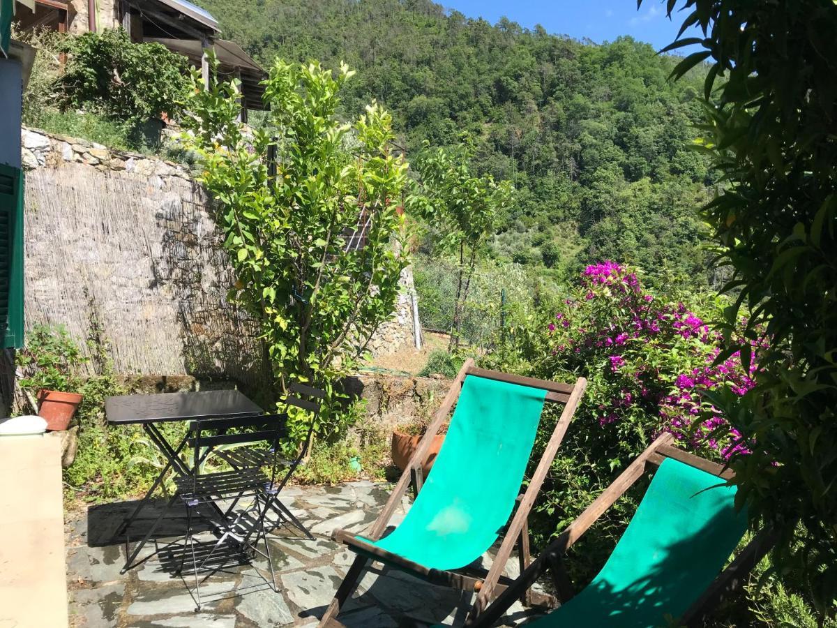 Cottage La Terrazza Levanto Bagian luar foto