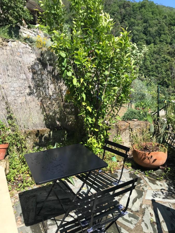 Cottage La Terrazza Levanto Bagian luar foto