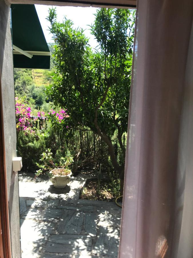 Cottage La Terrazza Levanto Bagian luar foto